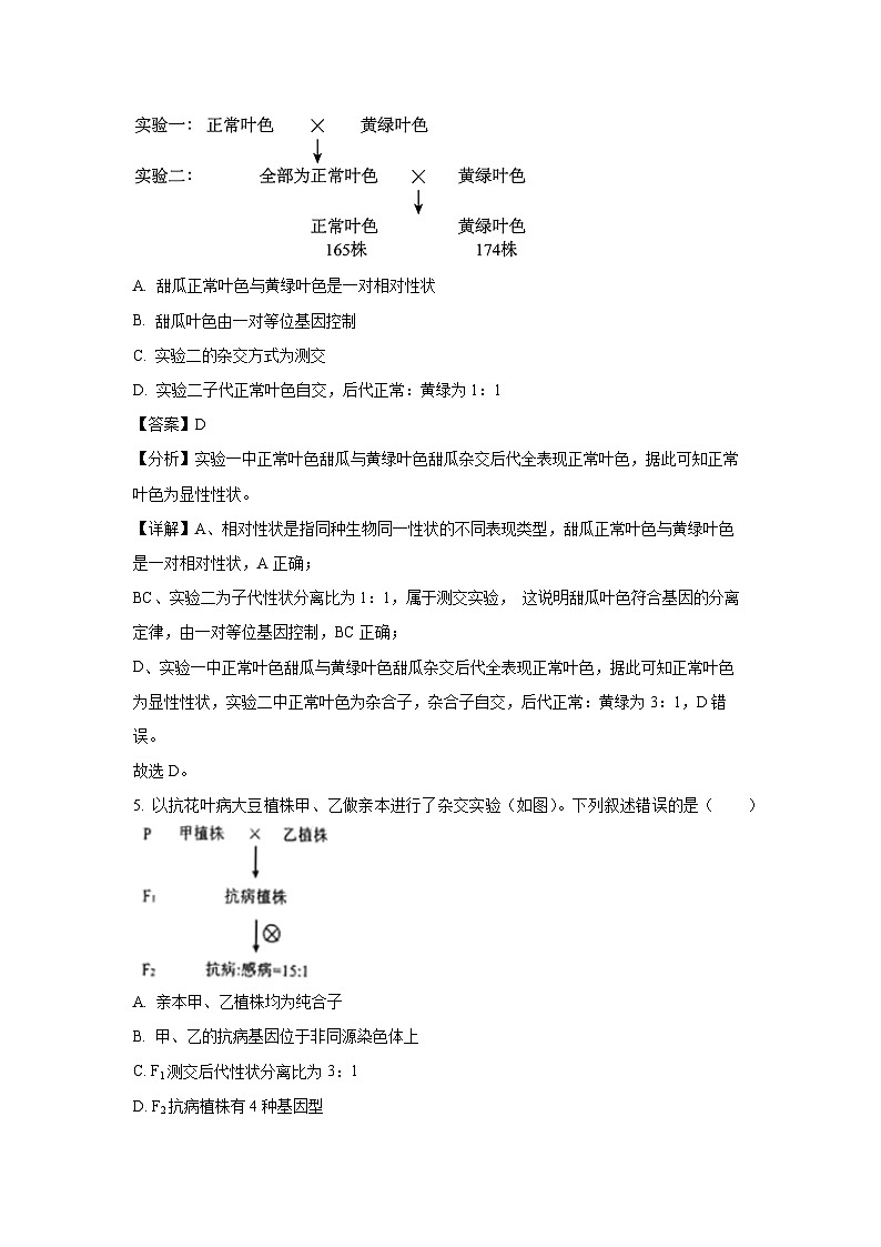 【生物】河北省辛集市2023-2024学年高一下学期7月期末考试试题（解析版）第3页