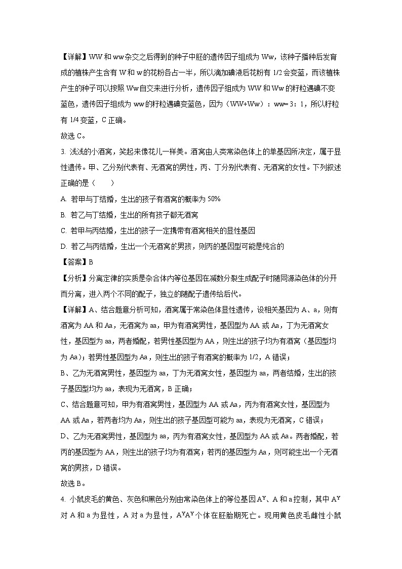 【生物】河南省洛阳市2024-2025学年高一下学期4月期中考试试卷（解析版）第2页