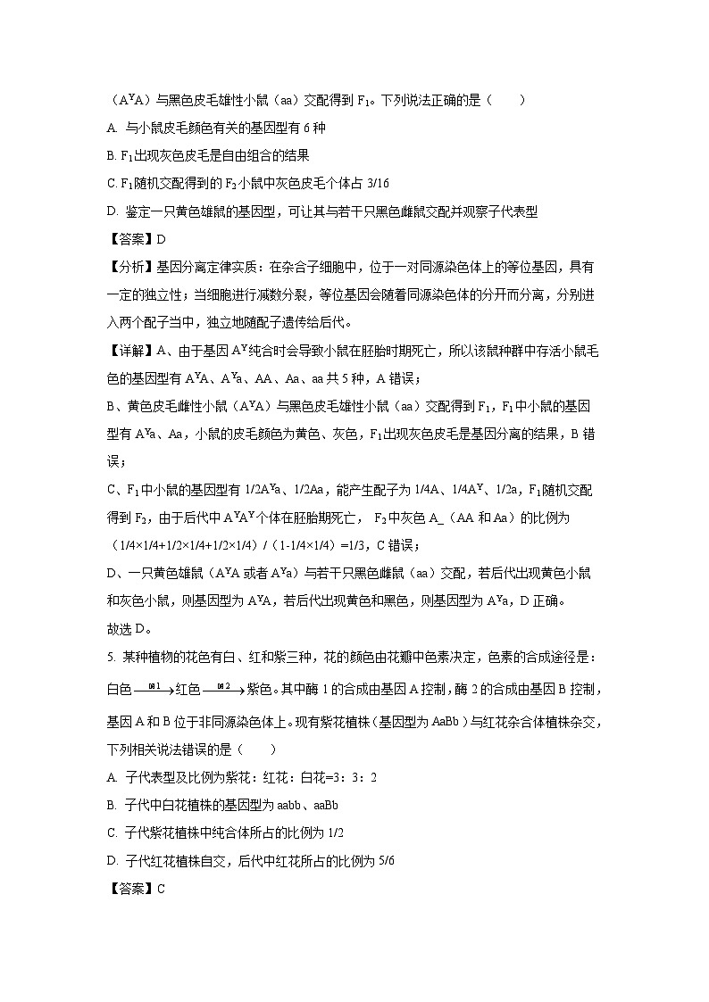 【生物】河南省洛阳市2024-2025学年高一下学期4月期中考试试卷（解析版）第3页