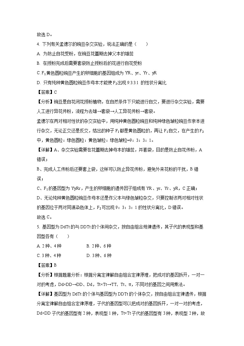 【生物】黑龙江省牡丹江市2024-2025学年高一下学期3月月考（模拟卷）（解析版）第2页