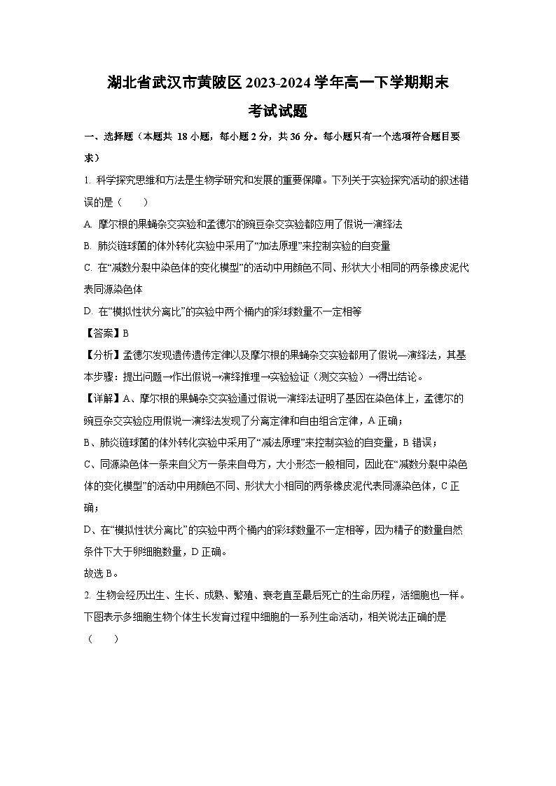 【生物】湖北省武汉市黄陂区2023-2024学年高一下学期期末考试试题（解析版）第1页