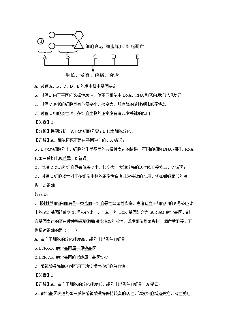 【生物】湖北省武汉市黄陂区2023-2024学年高一下学期期末考试试题（解析版）第2页