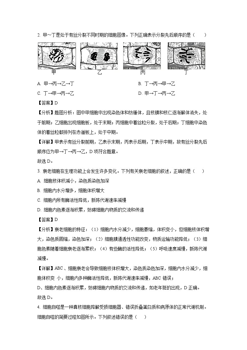 【生物】湖南省2024-2025学年高一下学期期中考试试题（解析版）第2页