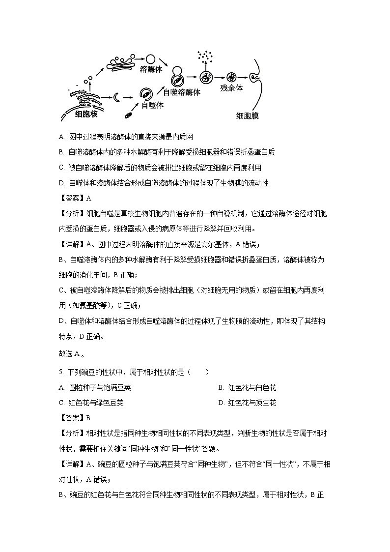 【生物】湖南省2024-2025学年高一下学期期中考试试题（解析版）第3页