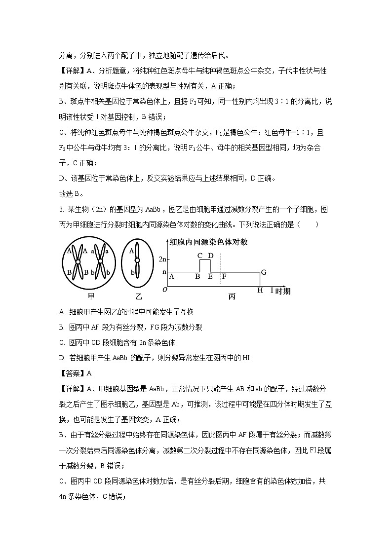 【生物】湖南省张家界市2023-2024学年高一下学期期末考试试题（解析版）第2页