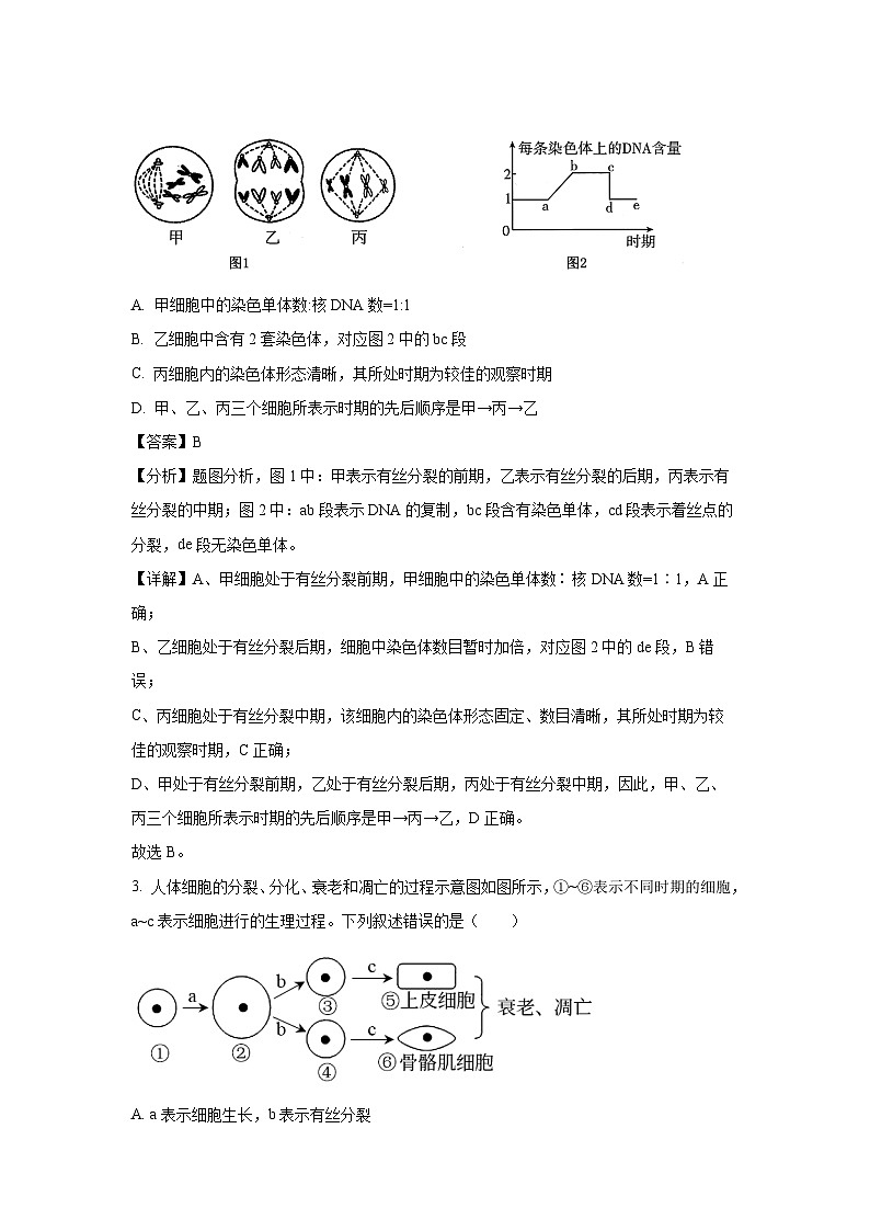 【生物】江西省多校联考2024-2025学年高一下学期期中考试试题（解析版）第2页