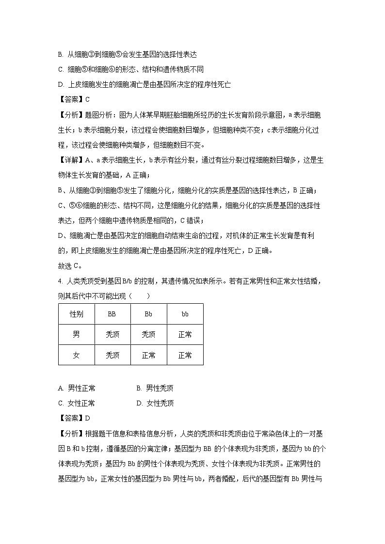 【生物】江西省多校联考2024-2025学年高一下学期期中考试试题（解析版）第3页