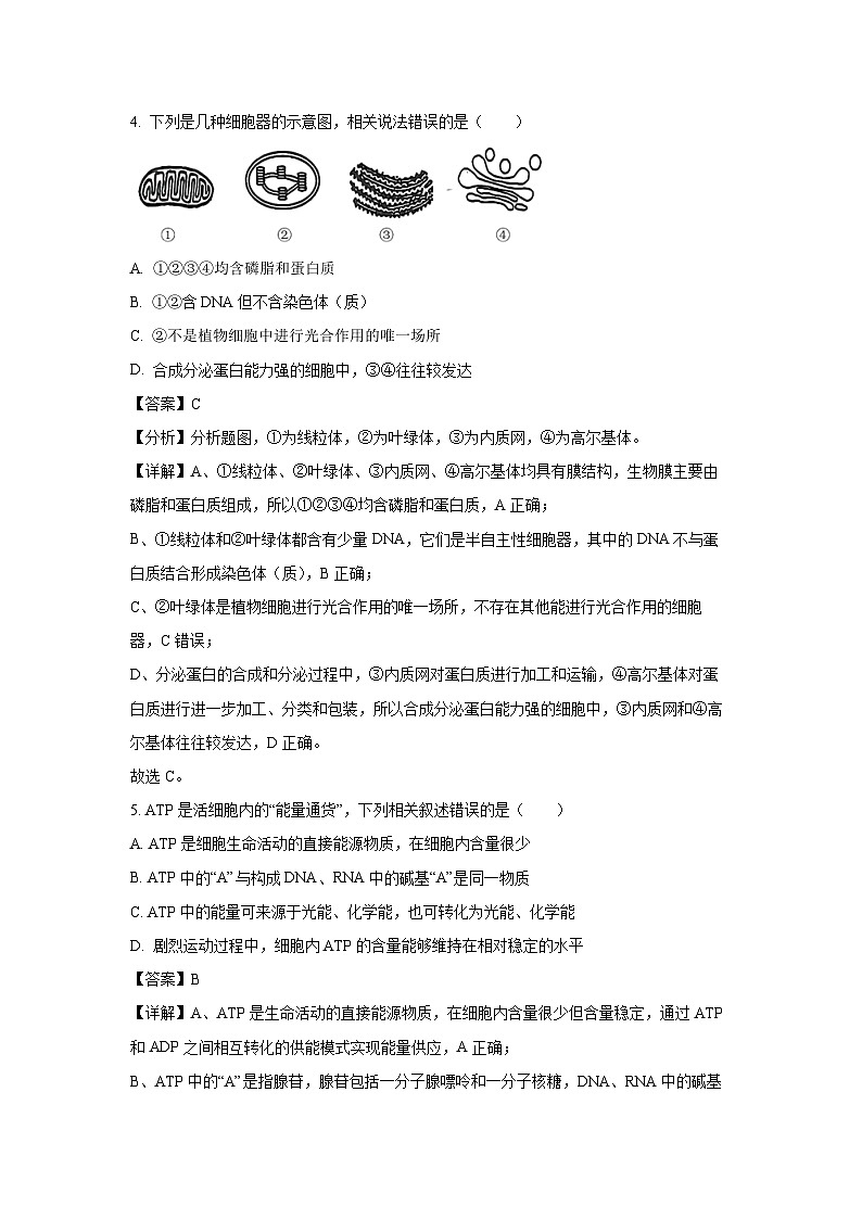 【生物】浙江省浙南名校2024-2025学年高一下学期4月期中考试试题（解析版）第3页