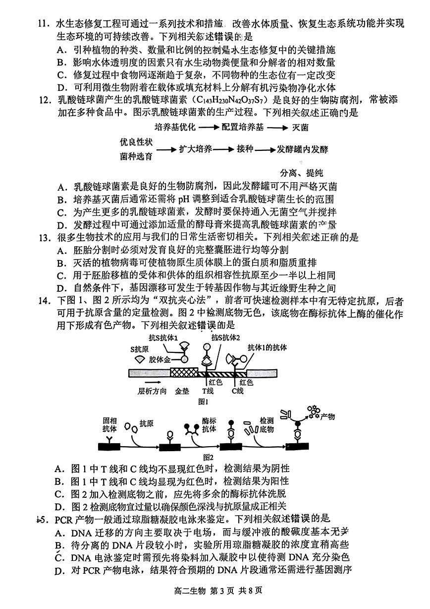 生物+答案-江苏省苏州市2024-2025学年高二下学期期末学业质量阳光指标调研试题及答案第3页