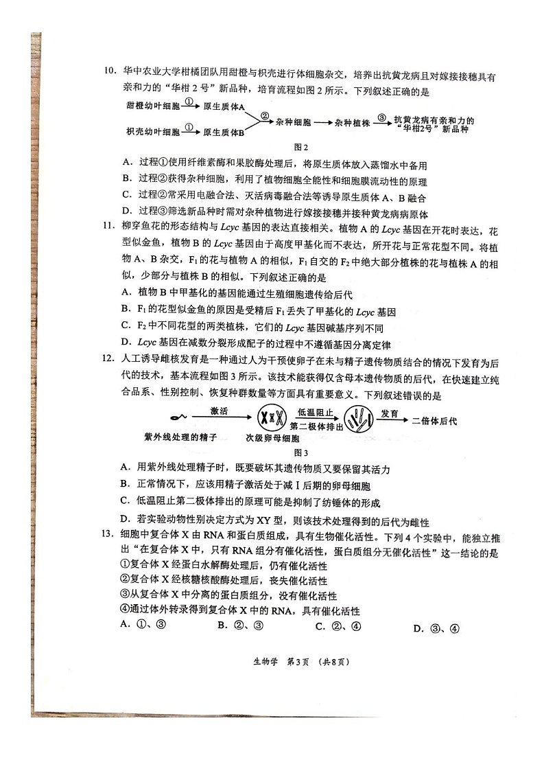 广西壮族自治区柳州市2024-2025学年高二下学期6月期末考试生物试卷第3页