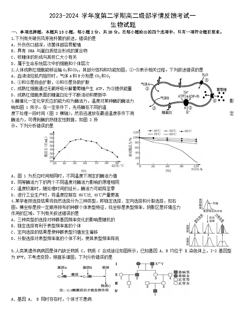 河北省石家庄市第一中学2023-2024学年高二下学期5月月考生物试题第1页