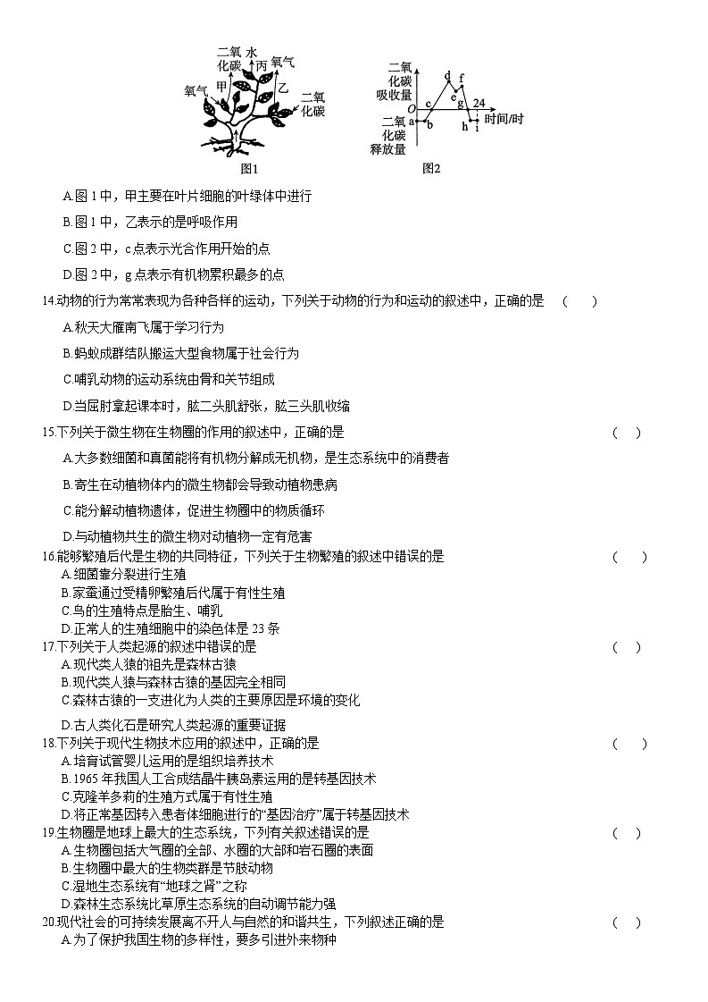 四川省广元市2025年八年级学业水平考试暨高中阶段学校招生考试 生物模拟试卷(六)第3页