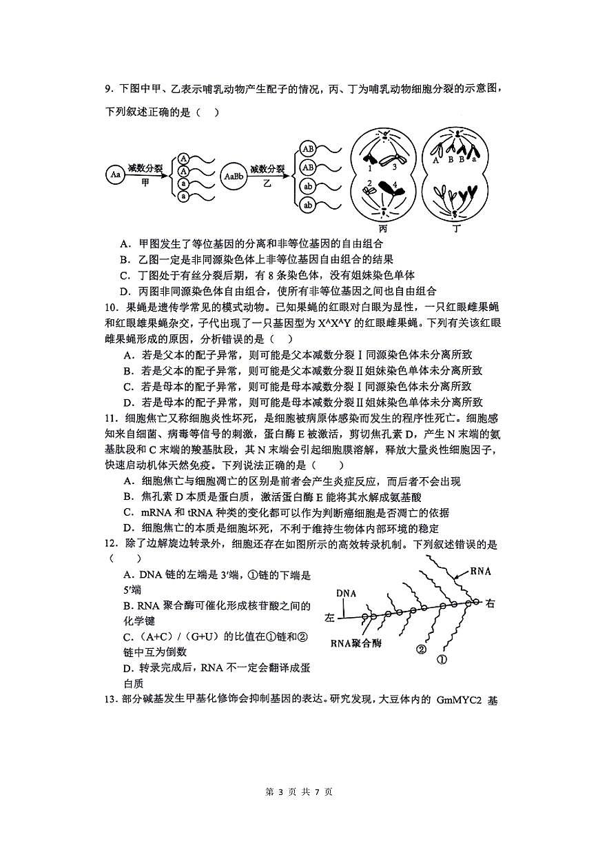 河南省商丘市2023-2024学年高一下学期5月联考生物试题第3页