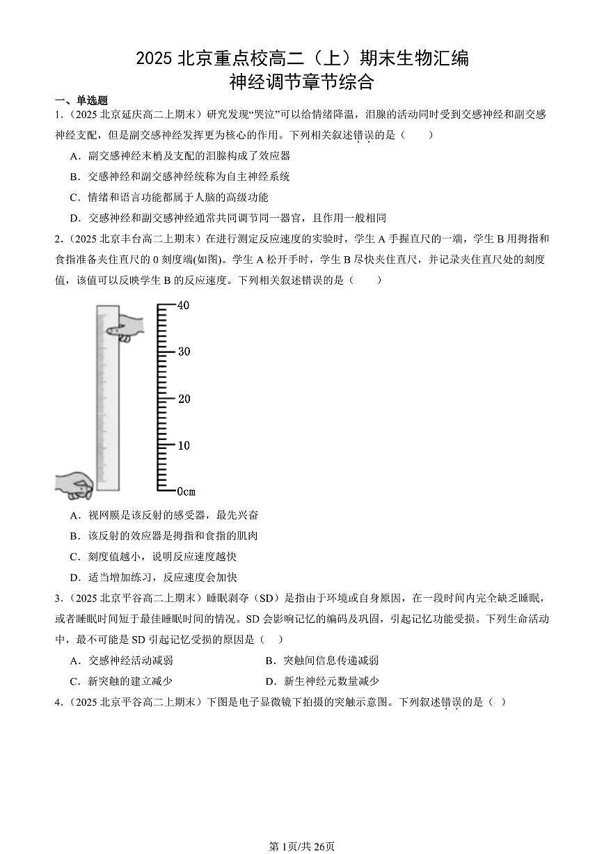 2025北京重点校高二（上）期末真题生物汇编：神经调节章节综合第1页