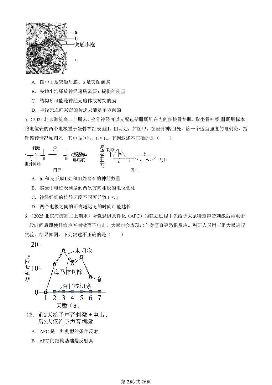 2025北京重点校高二（上）期末真题生物汇编：神经调节章节综合第2页