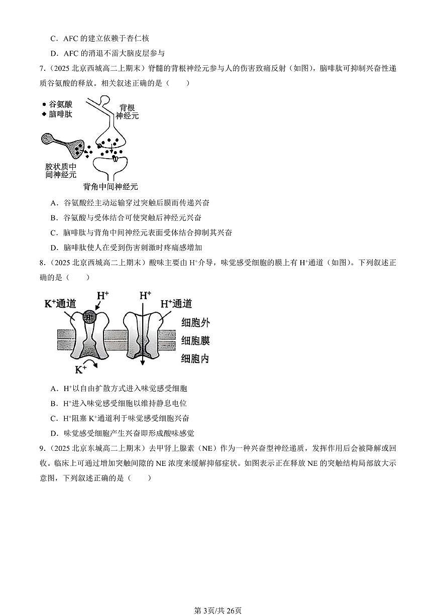 2025北京重点校高二（上）期末真题生物汇编：神经调节章节综合第3页