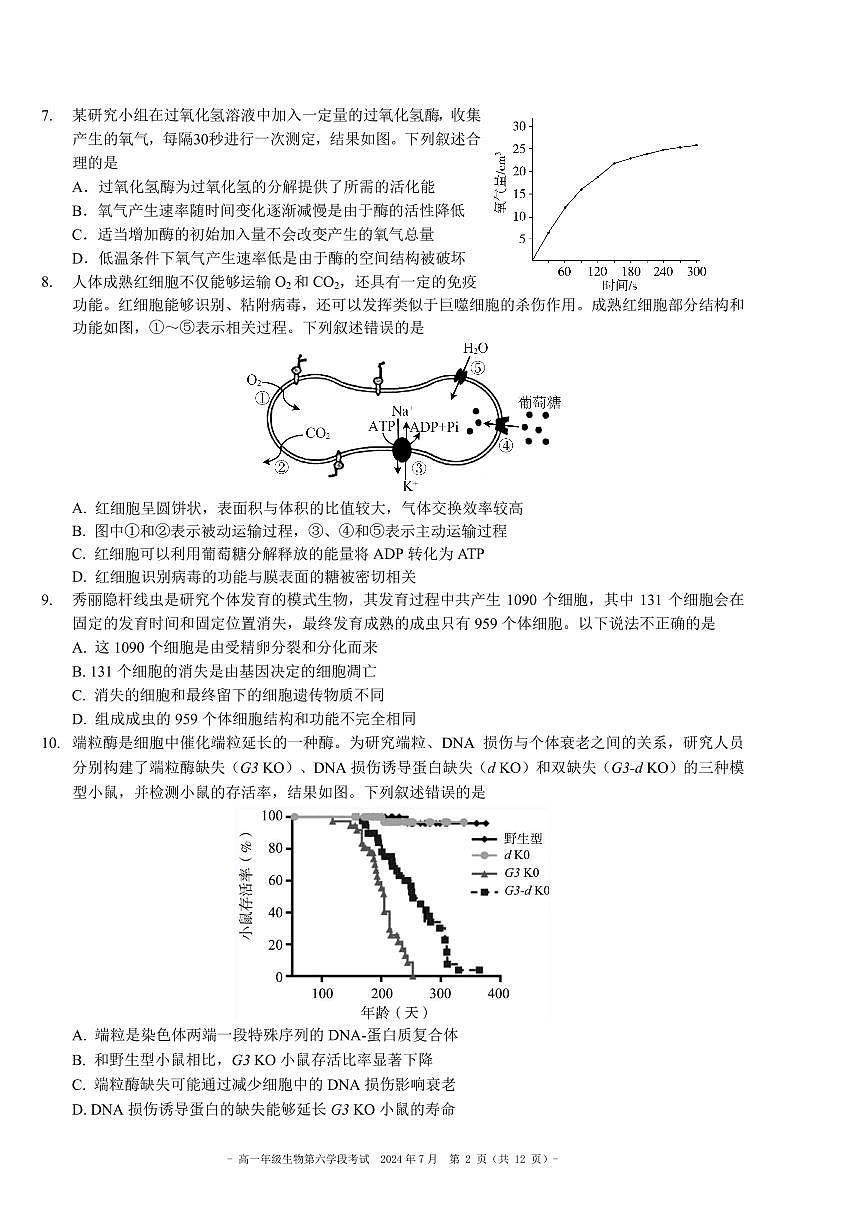 2024北京二中高一（下）六学段生物试卷第2页