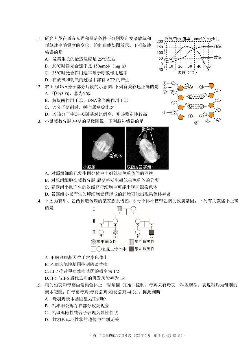 2024北京二中高一（下）六学段生物试卷第3页