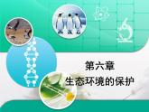 人教版 (新課標)高中生物必修3 第六章《生態(tài)環(huán)境的保護》總結(jié)復(fù)習(xí)課件