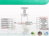 人教版 (新課標)高中生物必修3 第六章《生態(tài)環(huán)境的保護》總結(jié)復(fù)習(xí)課件