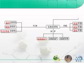 人教版 (新課標)高中生物必修3 第六章《生態(tài)環(huán)境的保護》總結(jié)復(fù)習(xí)課件