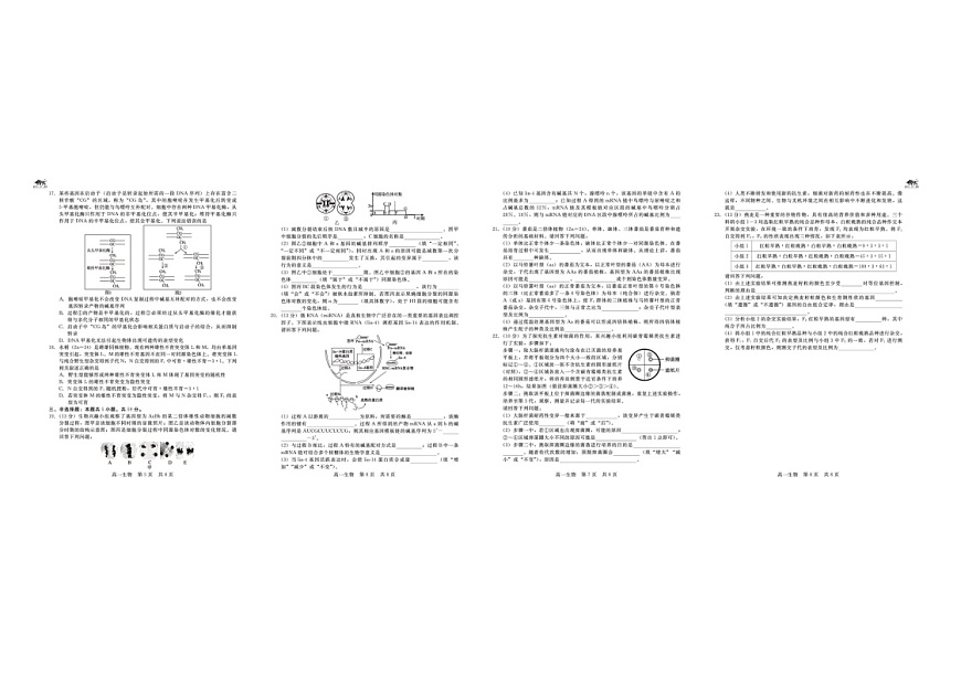 河北省名校联考2024-2025学年高一下学期6月期末考试生物试卷第2页