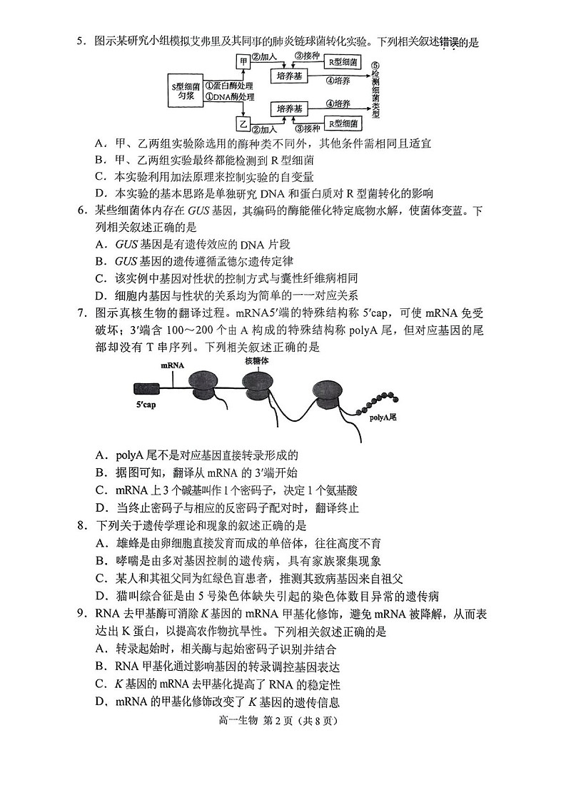 江苏省苏州市2024-2025学年高一下学期期末测试生物试卷第2页