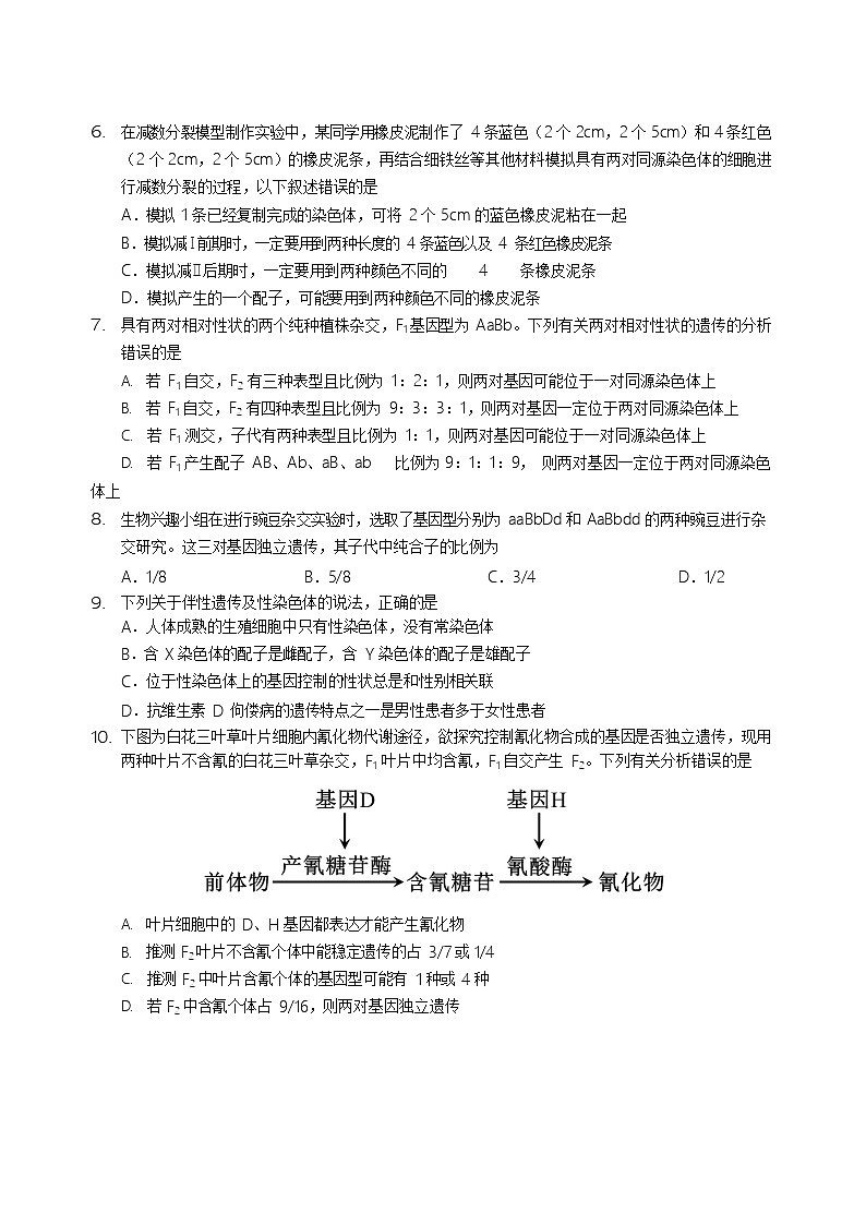 四川省绵阳外国语学校2024-2025学年高一下学期期末模拟考试生物试卷第2页