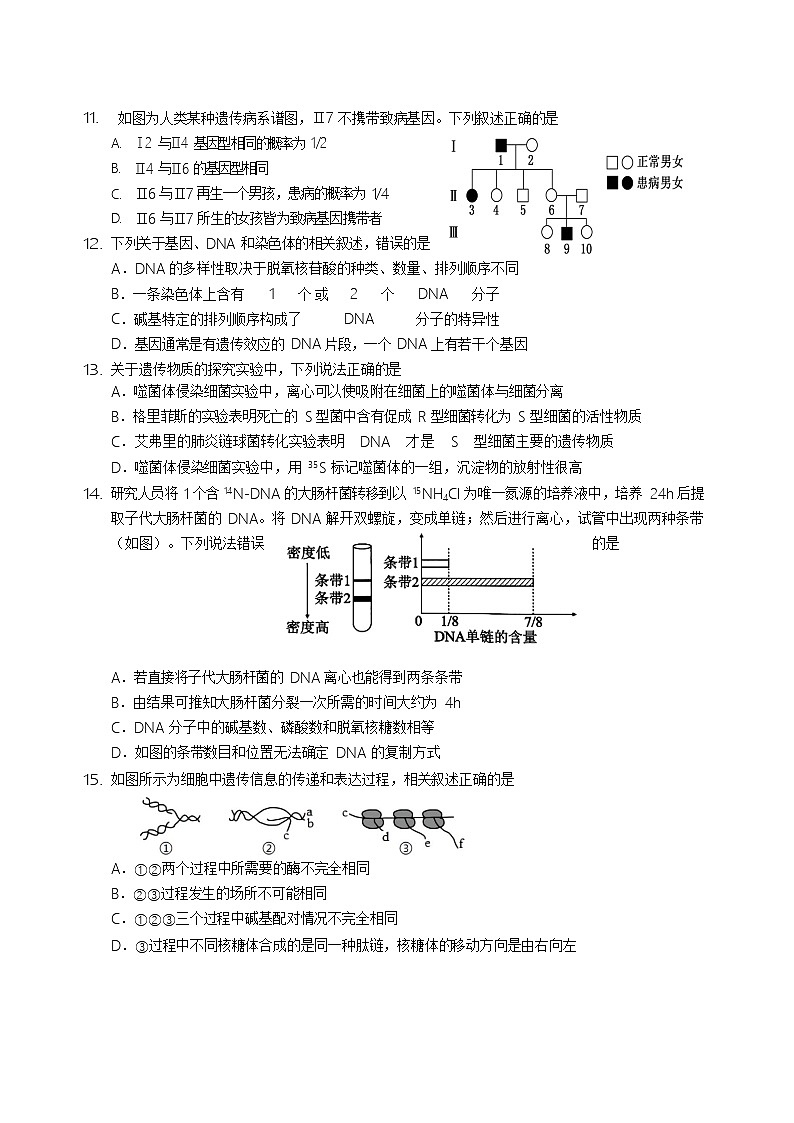 四川省绵阳外国语学校2024-2025学年高一下学期期末模拟考试生物试卷第3页