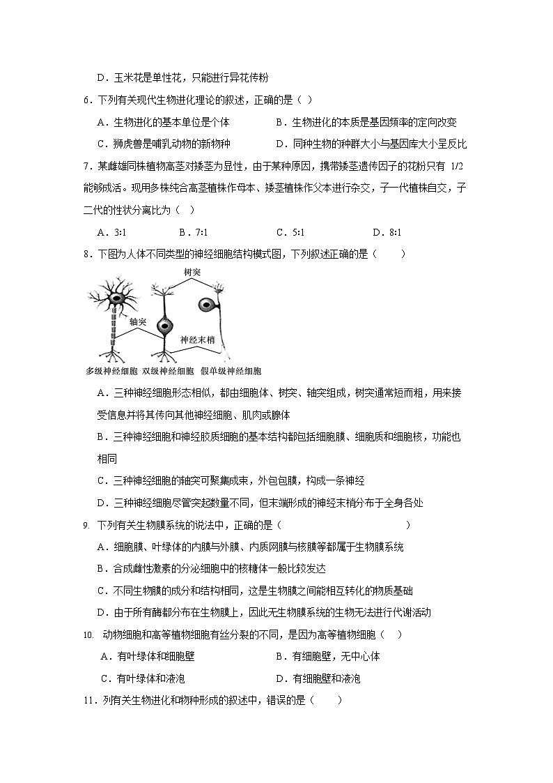 宁夏石嘴山市第一中学2024-2025学年高一下学期6月月考生物试卷第2页