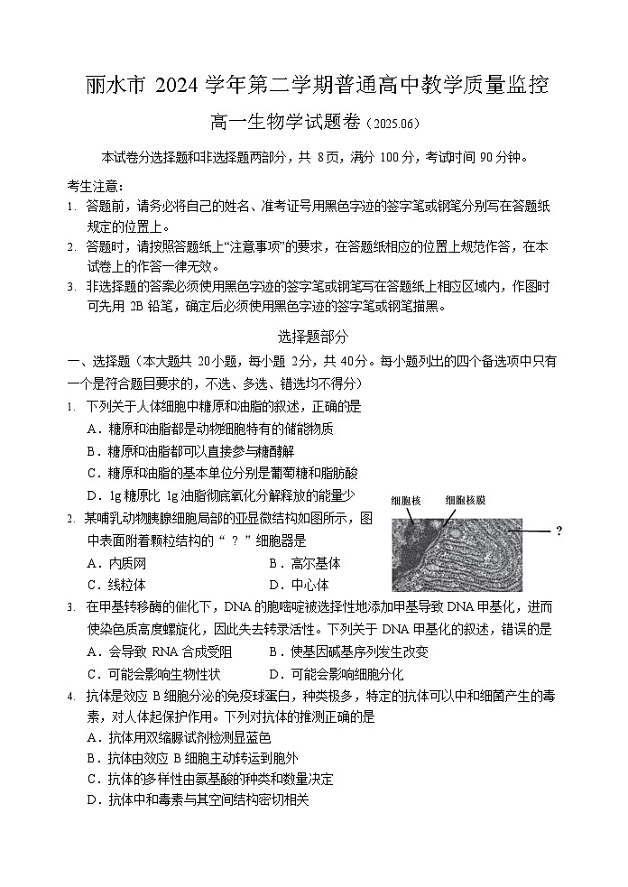 浙江省丽水市2024-2025学年高一下学期期末考试生物试卷第1页