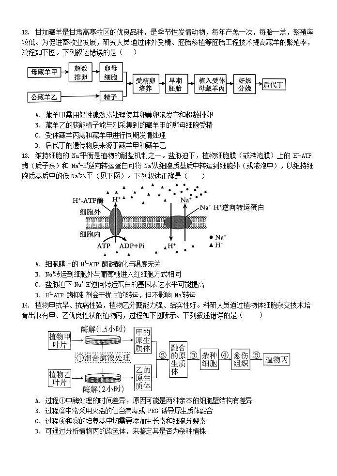 浙江省温州市新力量2024-2025学年高二下学期期末考试生物试卷第3页