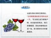 人教版 (新课标)高中生物选修1 1-1《果酒和果醋的制作》课件