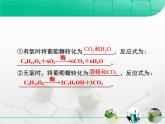 人教版 (新課標(biāo))高中生物選修1 1-1《果酒和果醋的制作》復(fù)習(xí)課件