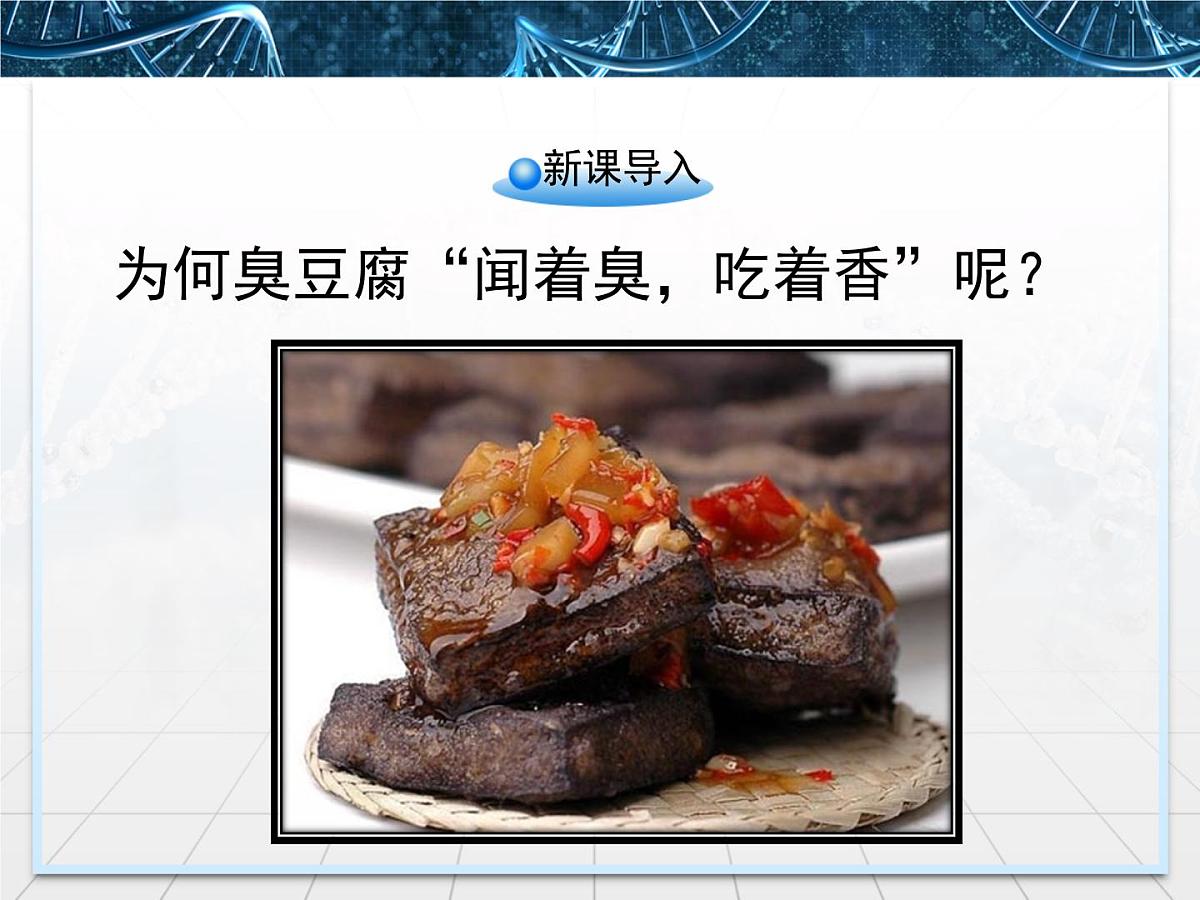 人教版 (新课标)高中生物选修1 1-2《腐乳的制作》课件第2页