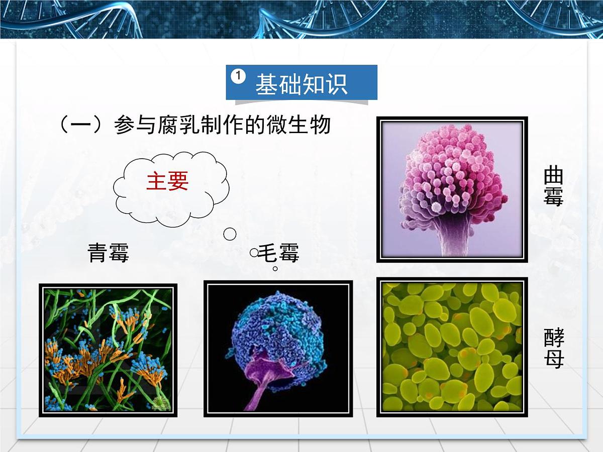 人教版 (新课标)高中生物选修1 1-2《腐乳的制作》课件第6页