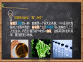 人教版 (新課標(biāo))高中生物選修1 1-2《腐乳的制作》課件