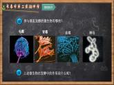 人教版 (新課標(biāo))高中生物選修1 1-2《腐乳的制作》課件