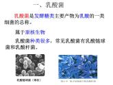 人教版 (新課標(biāo))高中生物選修1 1-3《制作泡菜并檢測(cè)亞硝酸鹽含量》課件