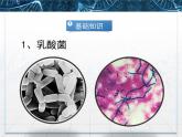 人教版 (新課標(biāo))高中生物選修1 1-3《制作泡菜并檢測(cè)亞硝酸鹽含量》課件