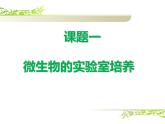 人教版 (新課標(biāo))高中生物選修1 2-1《微生物的實驗室培養(yǎng)》（第1課時）課件