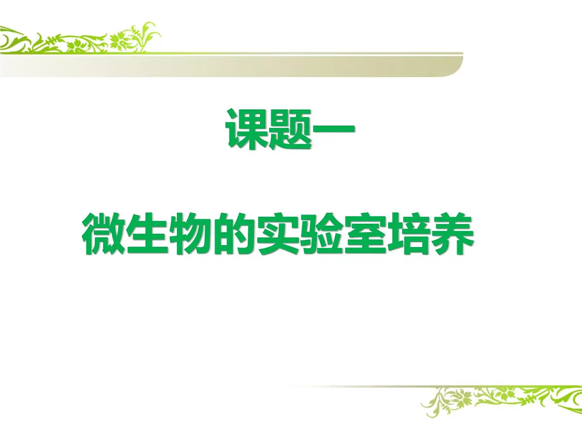 人教版 (新课标)高中生物选修1 2-1《微生物的实验室培养》（第1课时）课件第5页