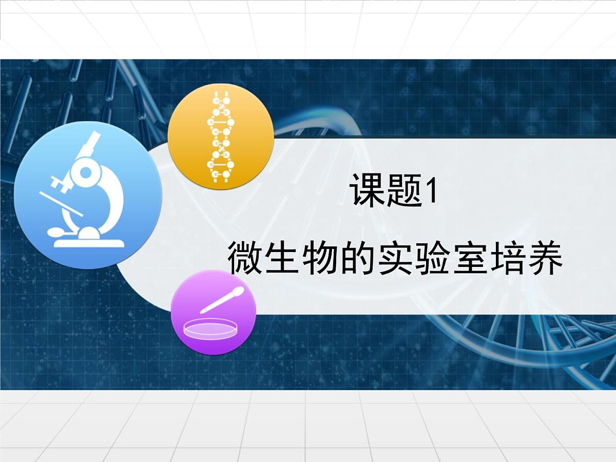 人教版 (新课标)高中生物选修1 2-1《微生物的实验室培养》课件第1页