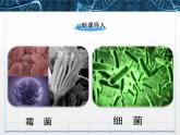 人教版 (新課標(biāo))高中生物選修1 2-1《微生物的實驗室培養(yǎng)》課件
