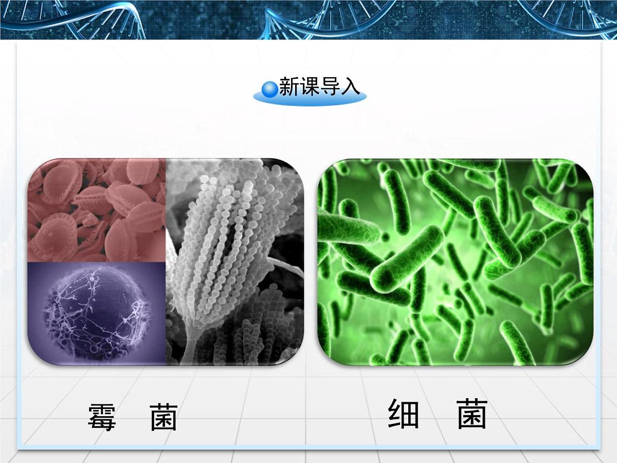 人教版 (新课标)高中生物选修1 2-1《微生物的实验室培养》课件第2页