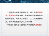 人教版 (新課標(biāo))高中生物選修1 2-1《微生物的實驗室培養(yǎng)》課件