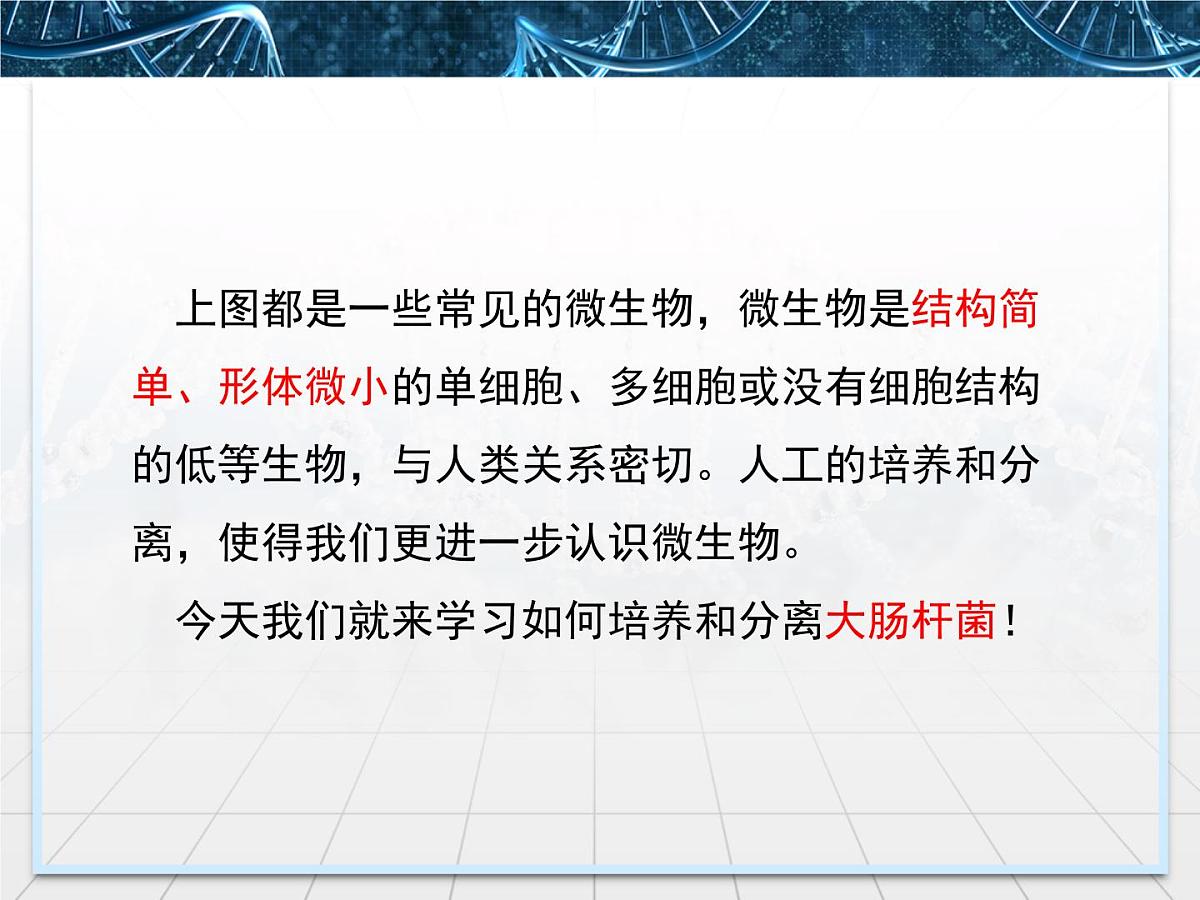 人教版 (新课标)高中生物选修1 2-1《微生物的实验室培养》课件第4页