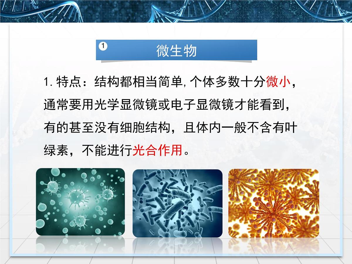 人教版 (新课标)高中生物选修1 2-1《微生物的实验室培养》课件第7页