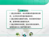 人教版 (新課標(biāo))高中生物選修1 2-1《微生物的實驗室培養(yǎng)》復(fù)習(xí)課件