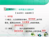 人教版 (新課標(biāo))高中生物選修1 2-1《微生物的實驗室培養(yǎng)》復(fù)習(xí)課件